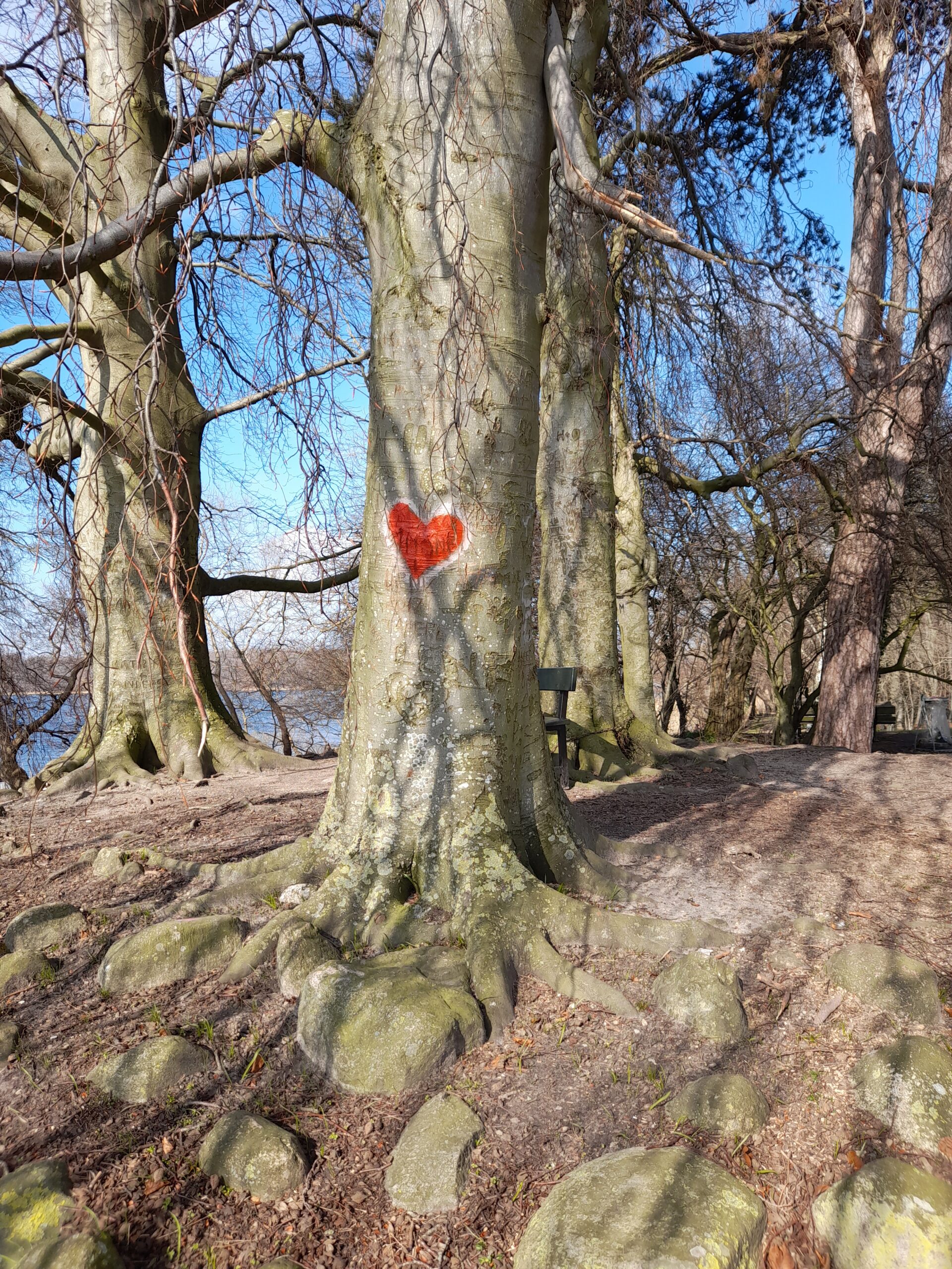 Træ med rødt hjerte